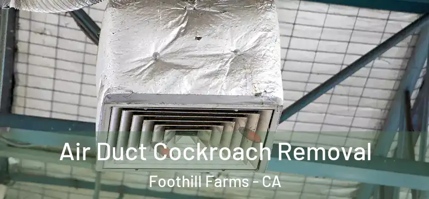 Air Duct Cockroach Removal Foothill Farms - CA