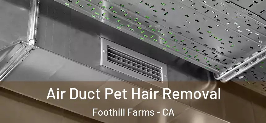  Air Duct Pet Hair Removal Foothill Farms - CA