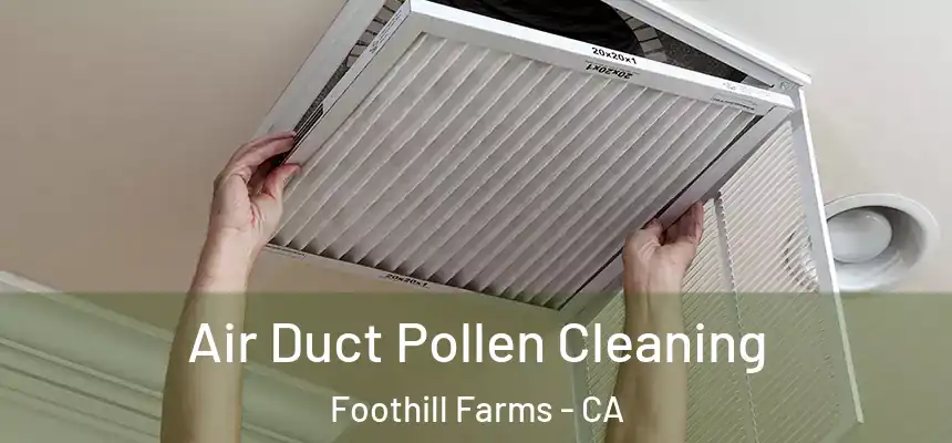  Air Duct Pollen Cleaning Foothill Farms - CA