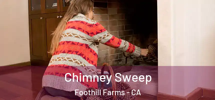  Chimney Sweep Foothill Farms - CA