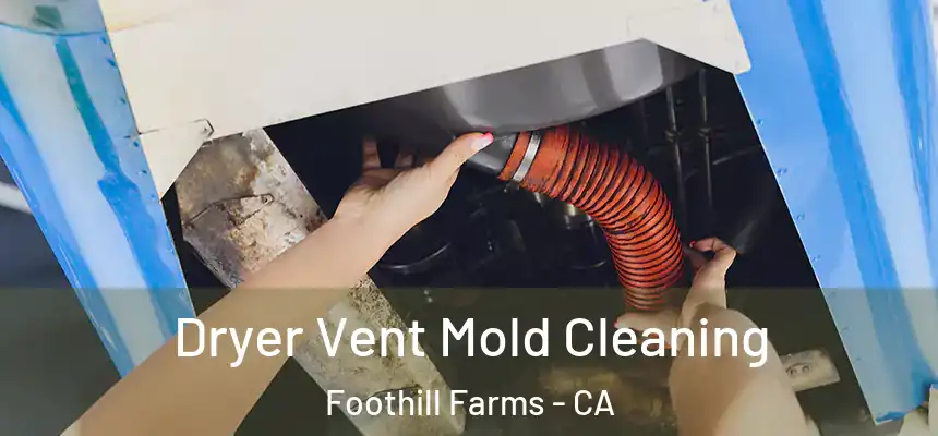  Dryer Vent Mold Cleaning Foothill Farms - CA