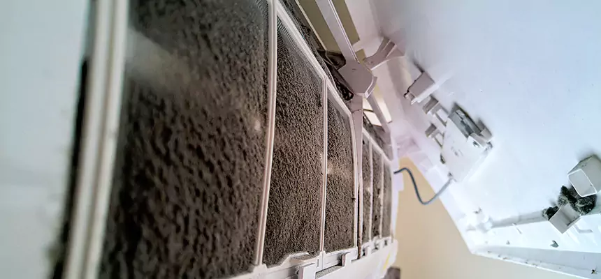 Preventive Air Duct Bacteria Removal in Foothill Farms