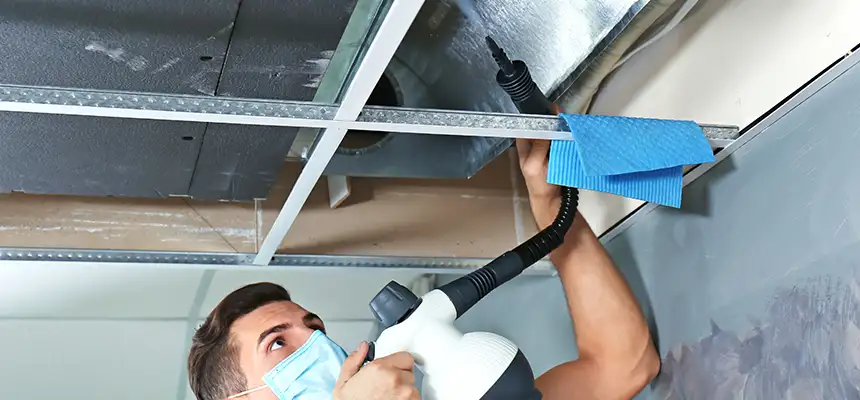 Our Air Duct Rodent Removal Services in Foothill Farms, CA