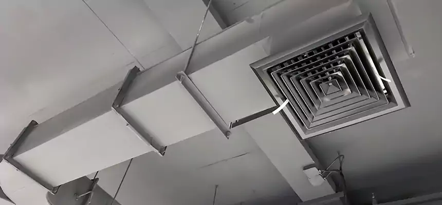 Restorative Allergy Relief Vent Cleaning – Coil, Blower & Housing Detail in Foothill Farms