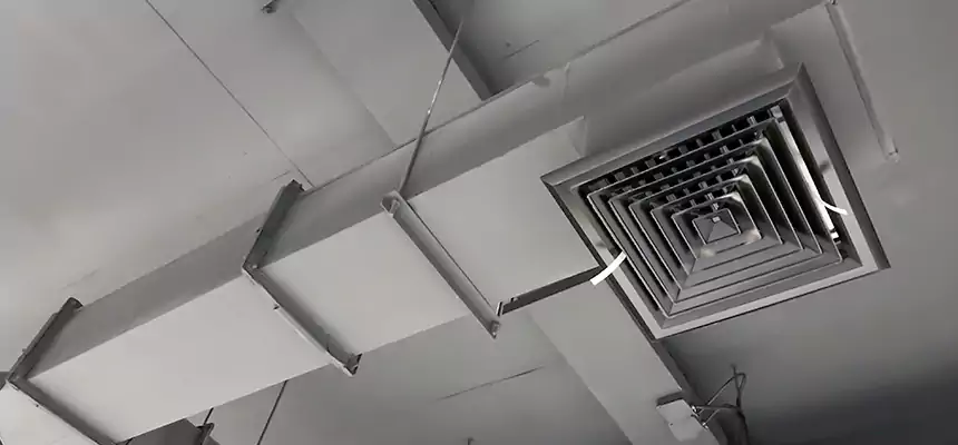 Our Rodent Droppings In Vents Services in Foothill Farms, CA