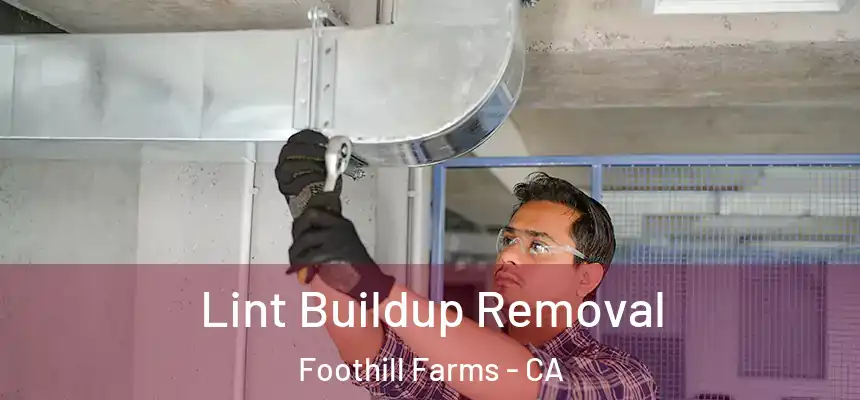  Lint Buildup Removal Foothill Farms - CA