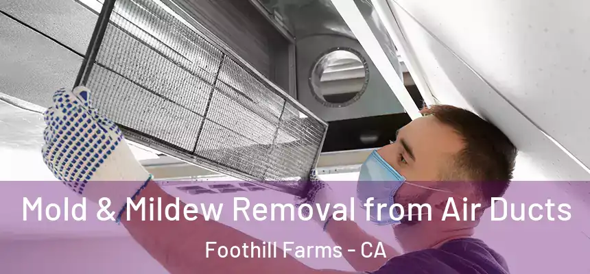  Mold & Mildew Removal from Air Ducts Foothill Farms - CA
