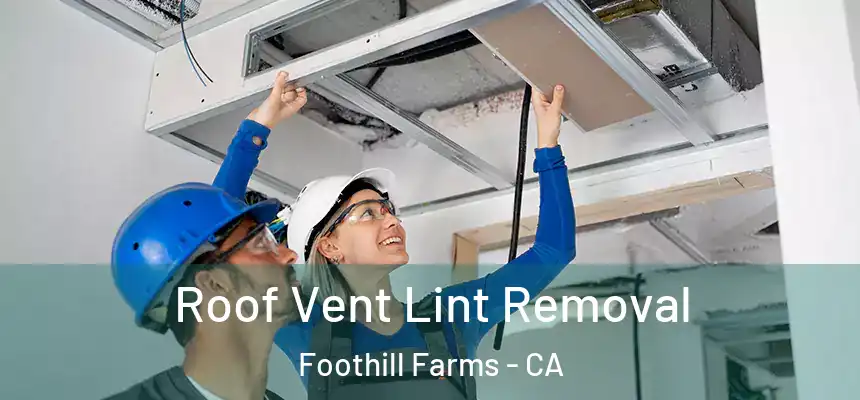Roof Vent Lint Removal Foothill Farms - CA