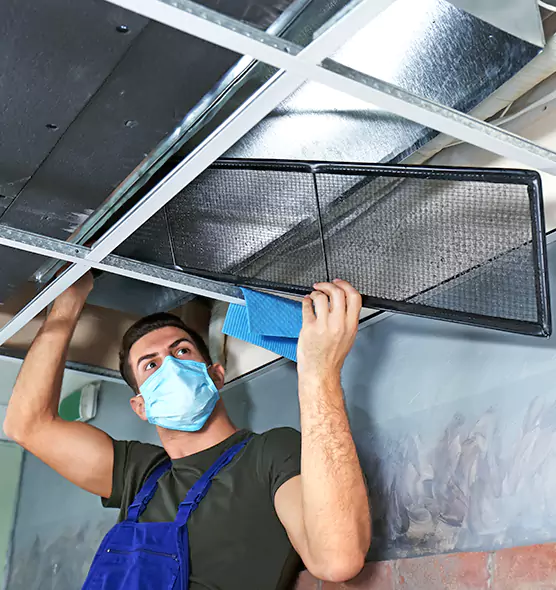 About Air Duct Bacteria Removal in Foothill Farms