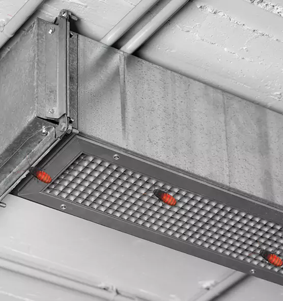 About Air Duct Cockroach Removal in Foothill Farms, CA