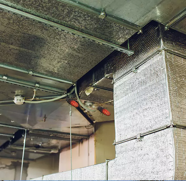 Why Homeowners & Businesses Trust Us in Foothill Farms, CA?