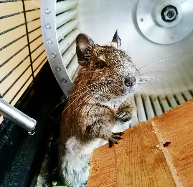 Why Homeowners & Businesses Trust Us Foothill Farms, CA?