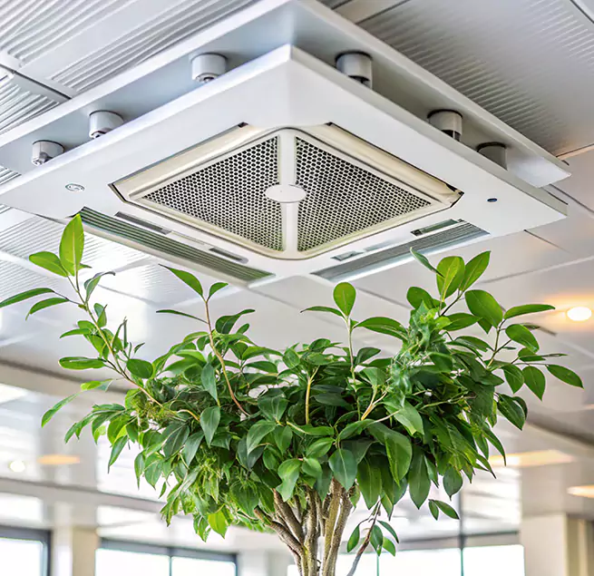 Why Homeowners & Businesses Trust Us in Foothill Farms, CA?